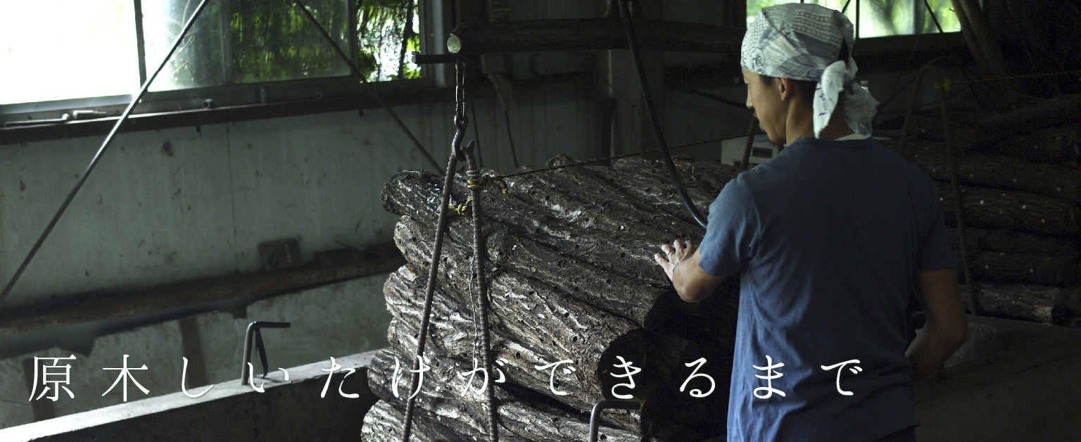 原木栽培であり続けたい